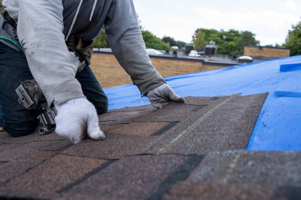 Best Roof Replacement Cost  in Zebulon, NC