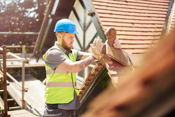 Best Roof Leak Repair  in Zebulon, NC