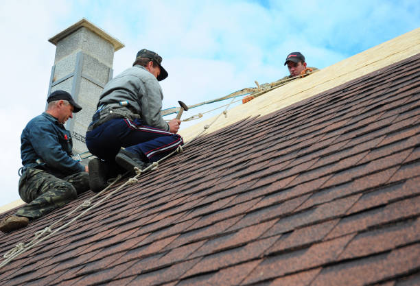 Roof Gutter Cleaning in Zebulon, NC